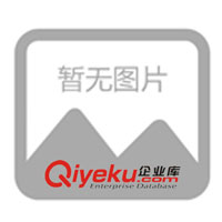 供應SYQ壓桿式油槍(圖)